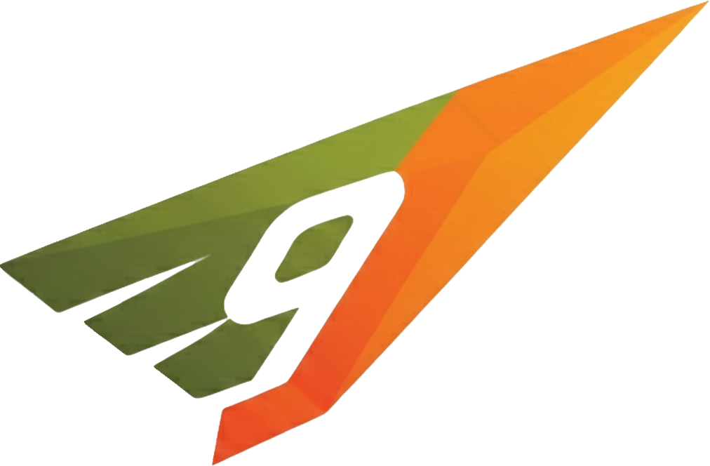 9 Line Flight Systems wing logo